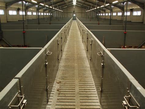 concrete slats for pigs|Flooring .